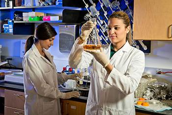 FAU medical students working in laboratory